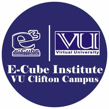 Ecube Institute logo
