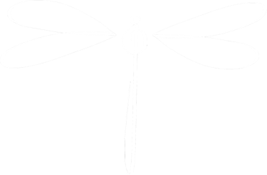 Die Libellen – das Damenquartett logo