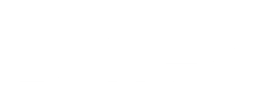 Daleomedia logo