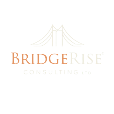 BridgeRise Consulting Ltd logo
