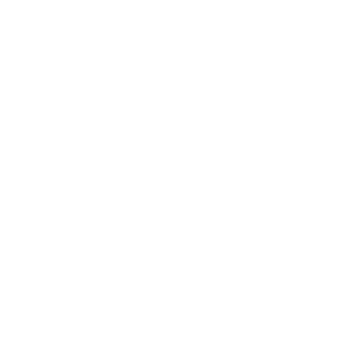 Zinga logo
