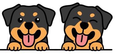 Bonnie & Coco's House logo