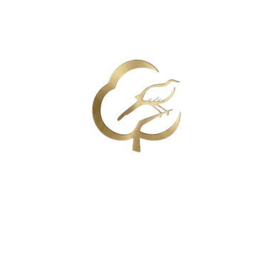 EscuelaparalavidaMx logo