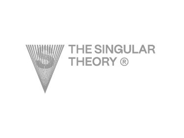 The Singular Theory