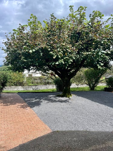 place en gravier gris à Verthier
