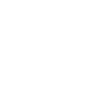 AmirTheVet logo