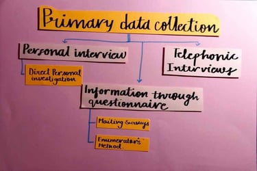 sample of introduction to statistics in economics project-2