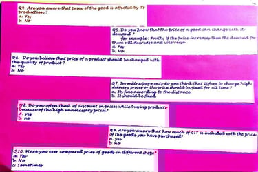 Format of questionnaire for Economics Project-1