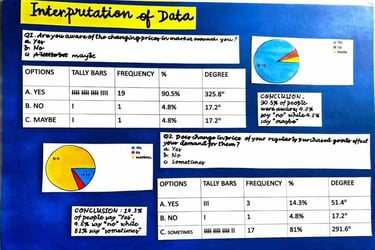 Survey in economics project