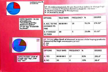 Survey in economics project-6