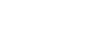 Vinícius Ribeiro logo