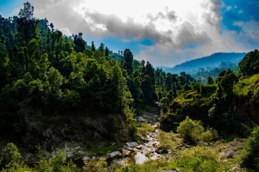 hotels near nainital