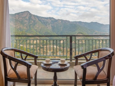 hotels near nainital