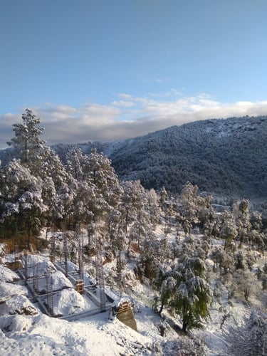 best stay options near mukteshwar dham