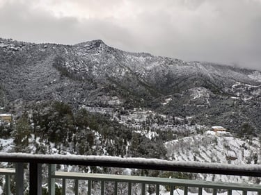 top homestay in mukteshwar