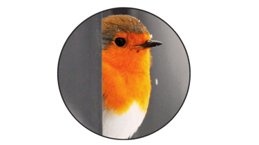 L'atelier du rouge-gorge logo