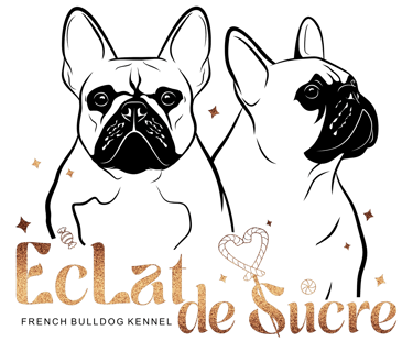 EcLat de Sucre logo