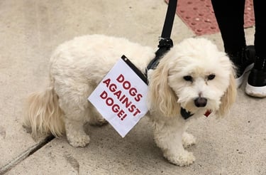 Even the Pup's can't stay silent!