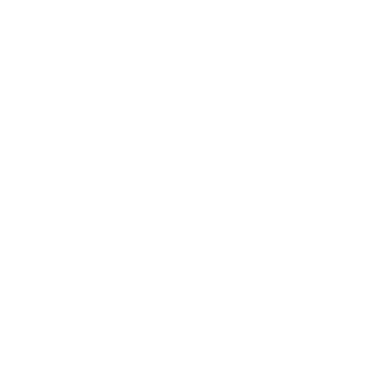 Lushi logo