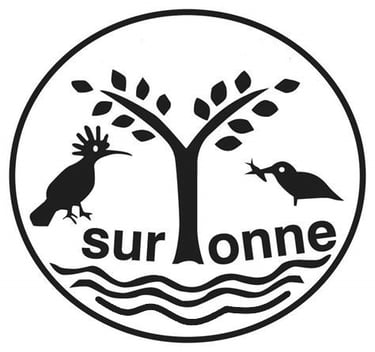Hotel Camping sur Yonne logo