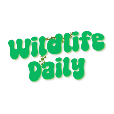 Wildlife Daily logo