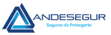 Andesegur SAC logo