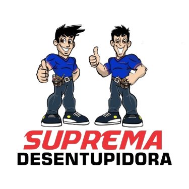 Desentupidora Moema logo