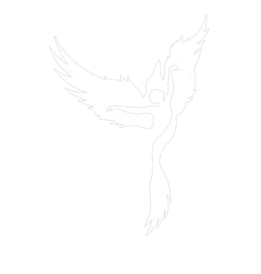 THE DANCE FLEET INDIA logo