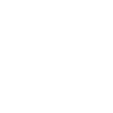 4S logo