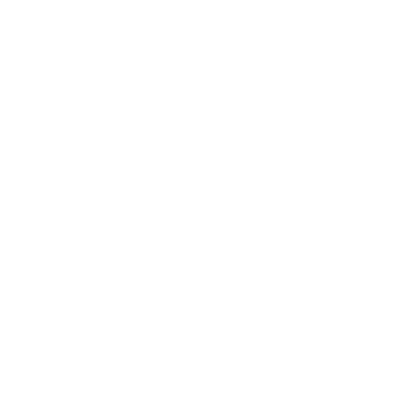 DJ ALI G logo
