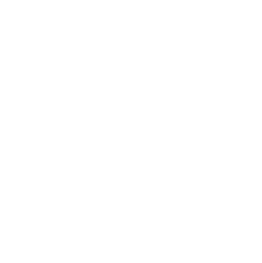 3X logo
