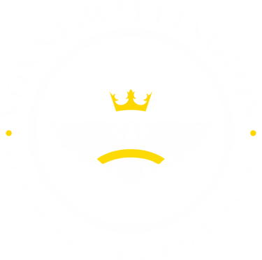 Vonne-Wellington School of Protocol logo