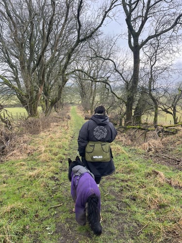 Dog Adventure Walks in Gateshead 