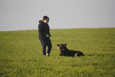 Hannah Founder of Willowland K9 and Bruce the German Shepherd