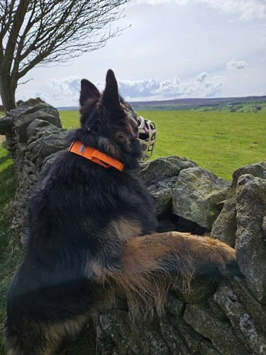 Adventure walks in Gateshead 