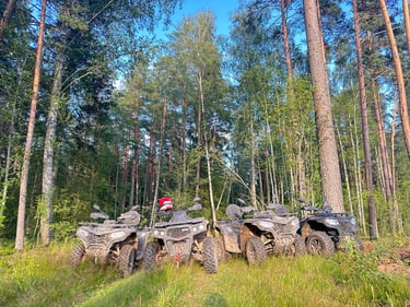 naturali-gamta-keturraciu-labanoro-miske