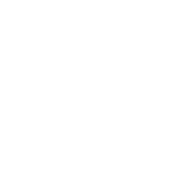 Holli logo