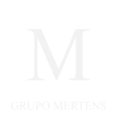 GRUPO MERTENS SA DE CV logo