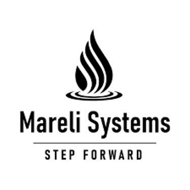 Mareli Systems Lietuva logo