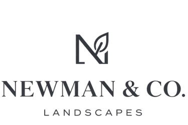 Newman & Co. Landscapes logo