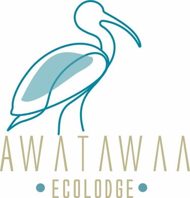 alt="Hotel ecohabs frente al mar Caribe en La Guajira con restaurante propio"