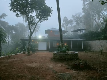 Misty Morning