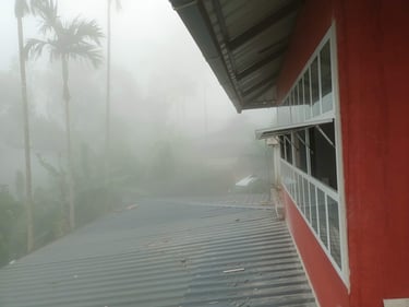 Terrace House Window view
