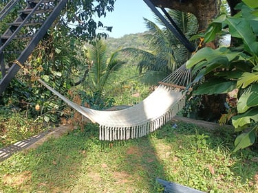 Hammock