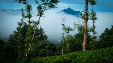 Morning Mist_blackhole view