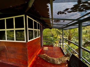TREEHOUSE BALCONY