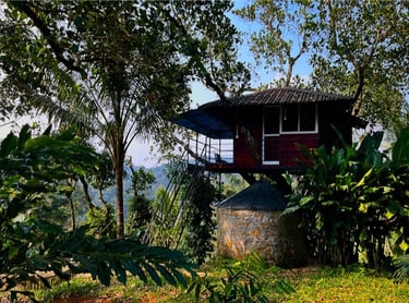 TREE HOUSE
