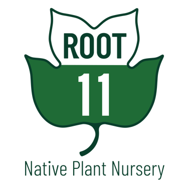 root 11 native plant nursery logo