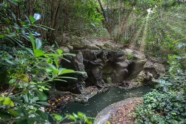 Mare aux poissons nichée dans un jardin boisé d'une propriété à Marseille, photo réalisée par photographe immobilier à Toulon