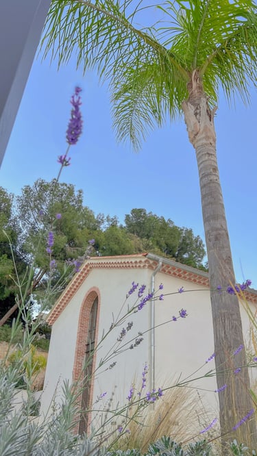 Les jardins de la résidence de luxe à La Seyne-sur-Mer, un havre de paix verdoyant pour les résidents.